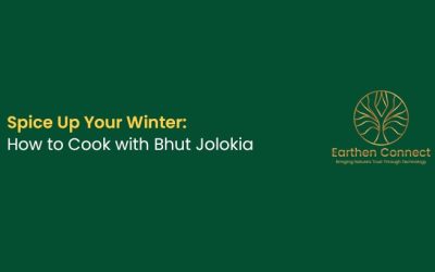 Spice Up Your Winter: How to Cook with Bhut Jolokia