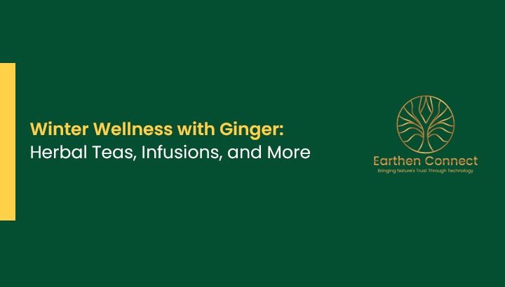 Winter Wellness with Ginger: Herbal Teas, Infusions, and More