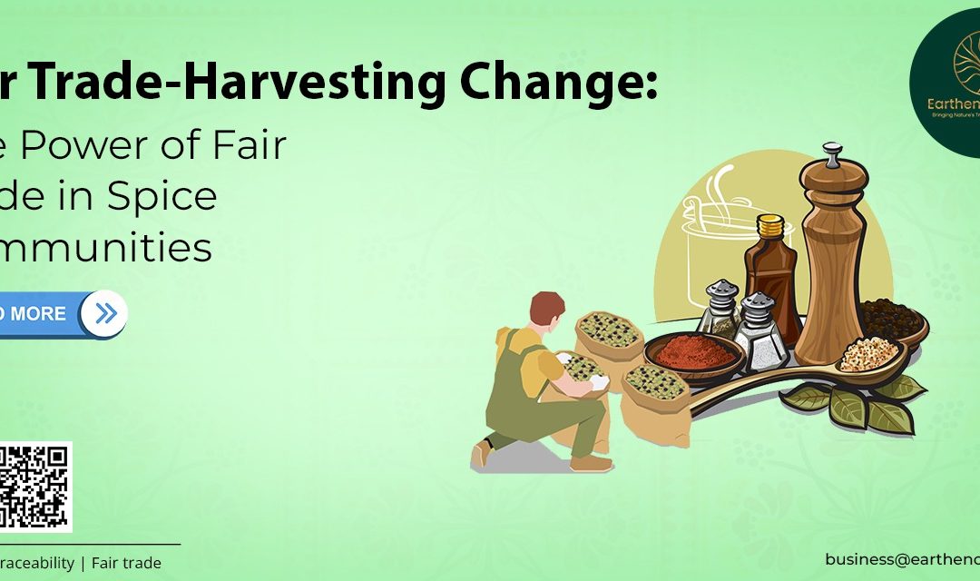 Harvesting Change: The Power of Fair Trade in Spice Communities