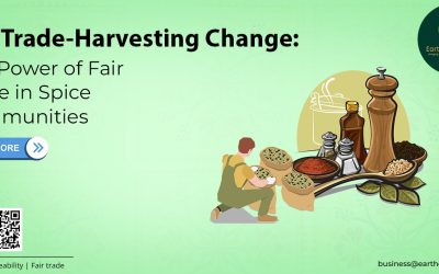 Harvesting Change: The Power of Fair Trade in Spice Communities