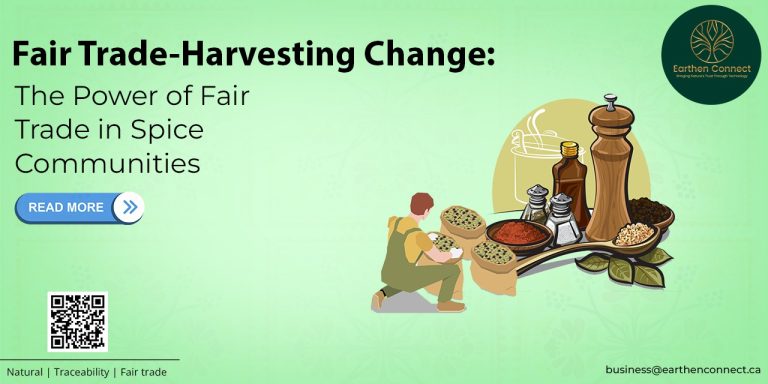Harvesting Change: The Power of Fair Trade in Spice Communities