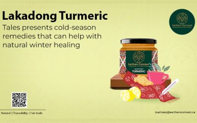 Lakadong Turmeric Tales presents cold-season remedies that can help with natural winter healing