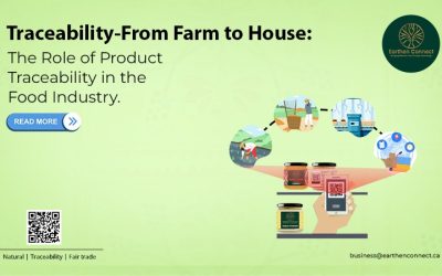 Traceability-From Farm to House: The Role of Product Traceability in the Food Industry
