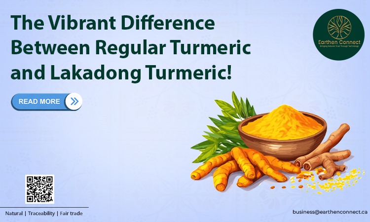 The vibrant difference between regular turmeric and Lakadong turmeric!