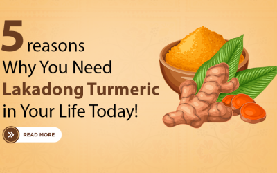 5 Reasons Why You Need Lakadong Turmeric in Your Today’s Life
