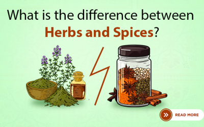 What is the difference between herbs and spices?