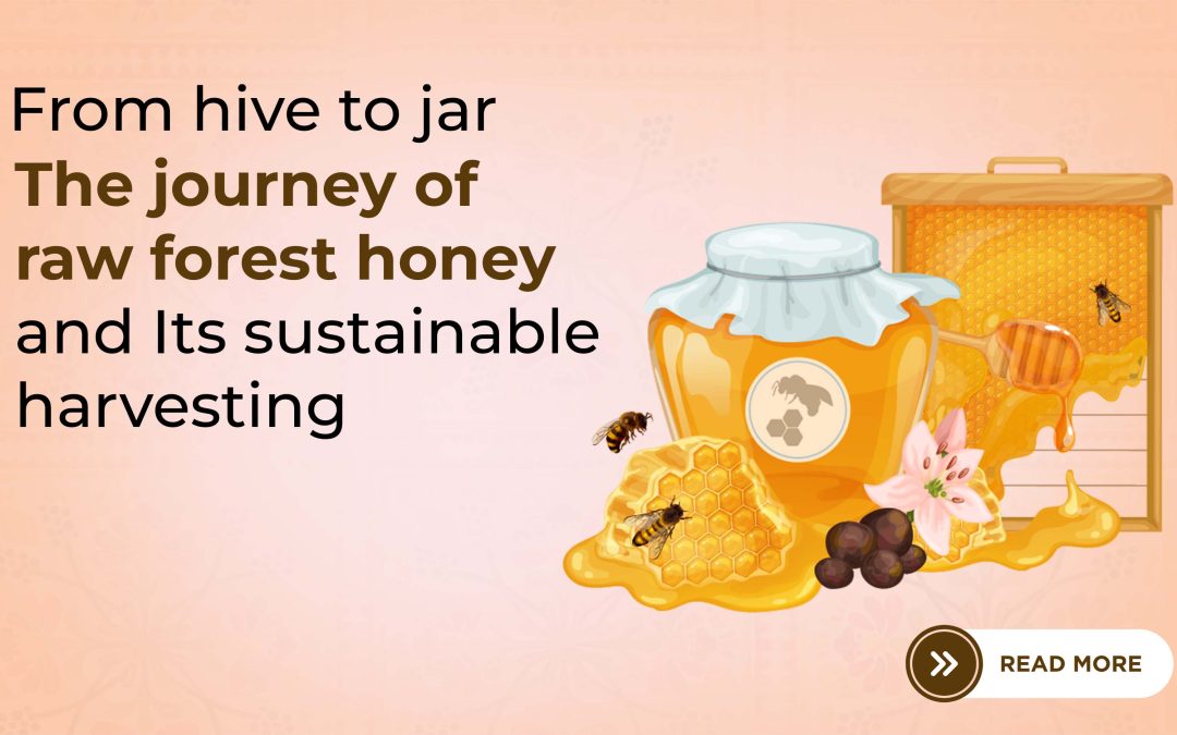 From Hive to Jar The Journey of Raw Forest Honey and Its Sustainable Harvesting