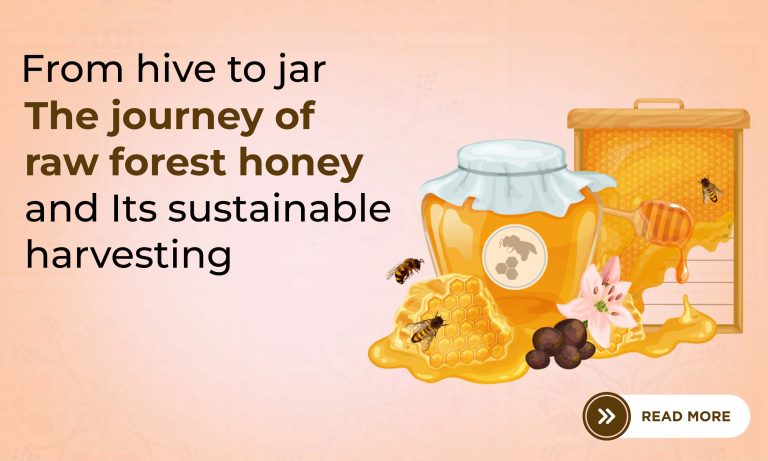 From Hive to Jar The Journey of Raw Forest Honey and Its Sustainable Harvesting