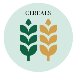 cereals-icon
