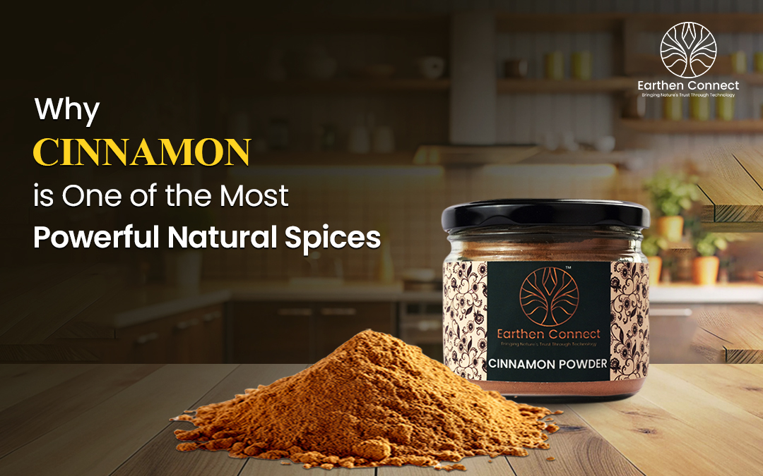 Why Cinnamon is One of the Most Powerful Natural Spices