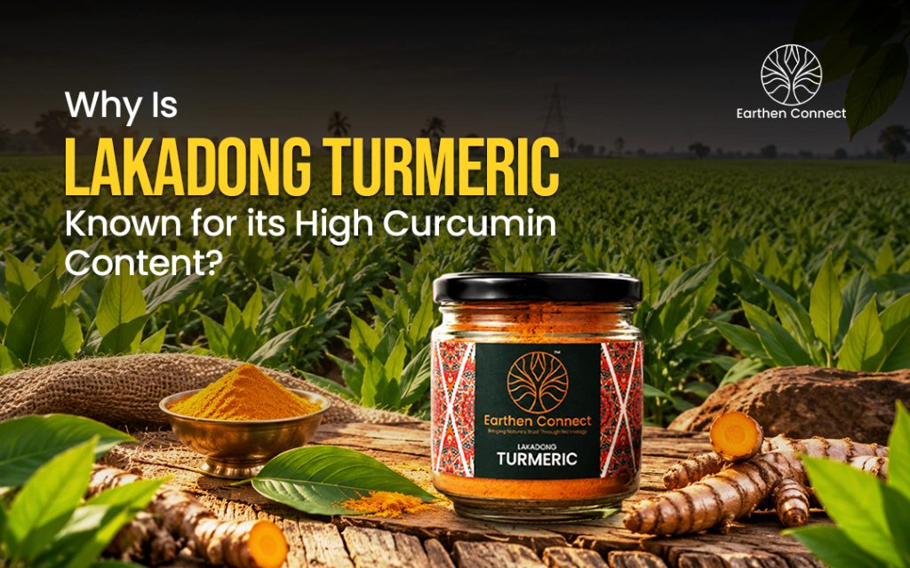 Why Is Lakadong Turmeric Known for Its High Curcumin Content